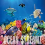 OCEAN STREAMZ مهكر